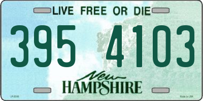 NH license plate 3954103
