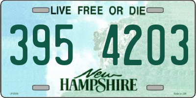 NH license plate 3954203