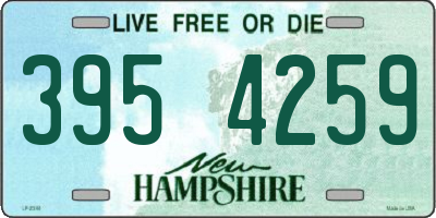 NH license plate 3954259