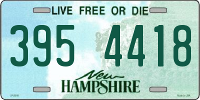 NH license plate 3954418