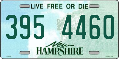 NH license plate 3954460