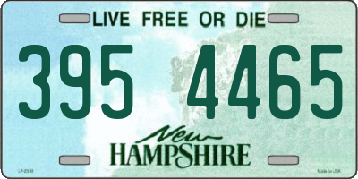 NH license plate 3954465