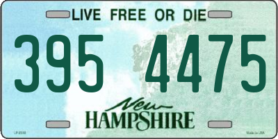 NH license plate 3954475