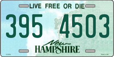 NH license plate 3954503