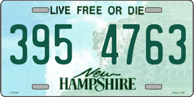 NH license plate 3954763