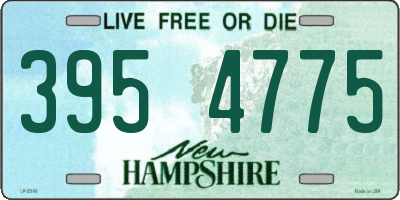NH license plate 3954775