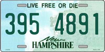 NH license plate 3954891