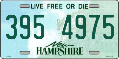 NH license plate 3954975