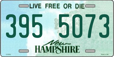 NH license plate 3955073