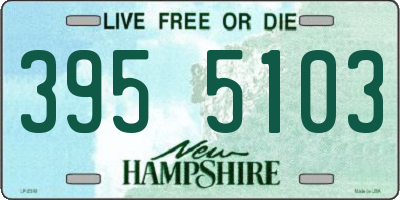NH license plate 3955103