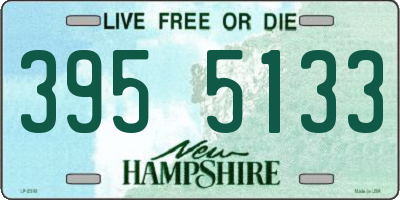 NH license plate 3955133