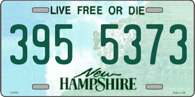 NH license plate 3955373
