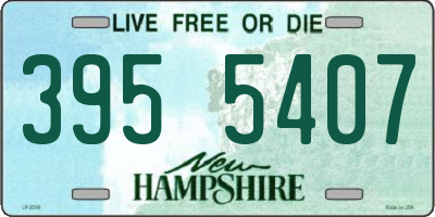 NH license plate 3955407