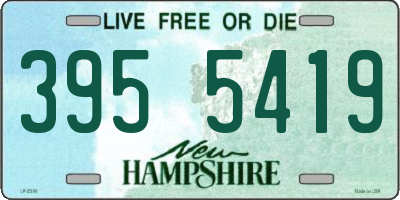 NH license plate 3955419