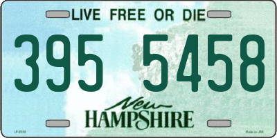 NH license plate 3955458
