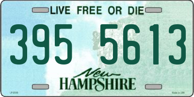 NH license plate 3955613