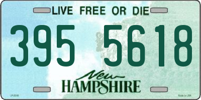 NH license plate 3955618