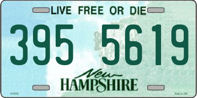 NH license plate 3955619