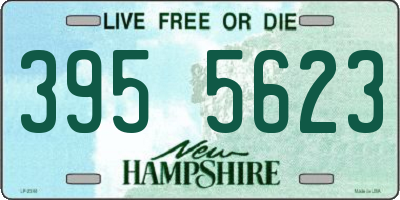 NH license plate 3955623