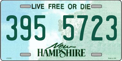 NH license plate 3955723