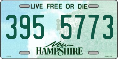 NH license plate 3955773