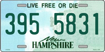 NH license plate 3955831
