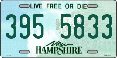 NH license plate 3955833