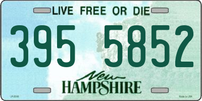 NH license plate 3955852