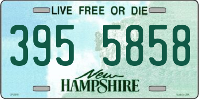 NH license plate 3955858