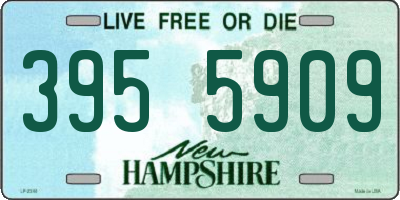 NH license plate 3955909