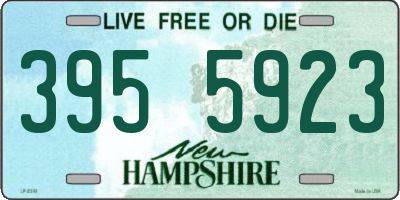 NH license plate 3955923