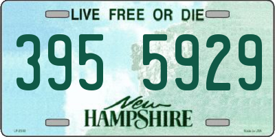 NH license plate 3955929
