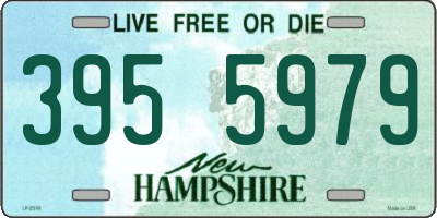 NH license plate 3955979