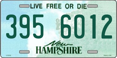 NH license plate 3956012
