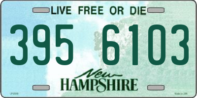 NH license plate 3956103