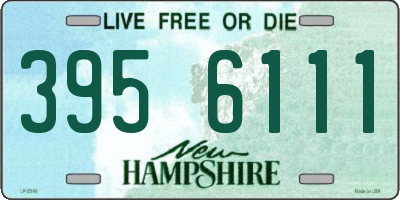 NH license plate 3956111