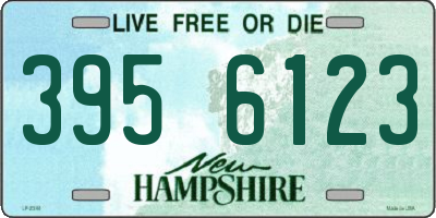 NH license plate 3956123