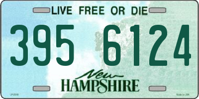 NH license plate 3956124