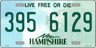 NH license plate 3956129