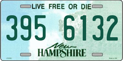 NH license plate 3956132