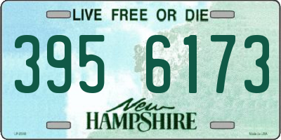 NH license plate 3956173