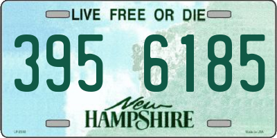 NH license plate 3956185