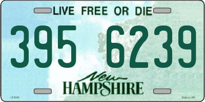 NH license plate 3956239