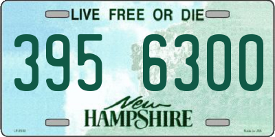 NH license plate 3956300