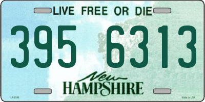NH license plate 3956313