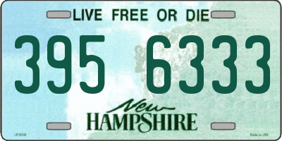 NH license plate 3956333