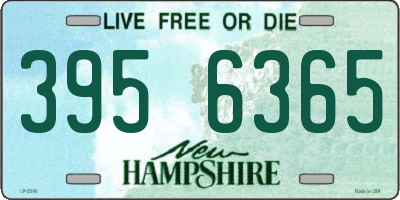 NH license plate 3956365