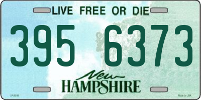 NH license plate 3956373