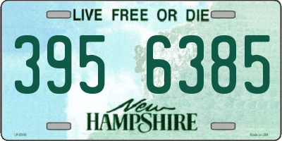NH license plate 3956385