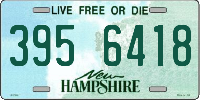 NH license plate 3956418